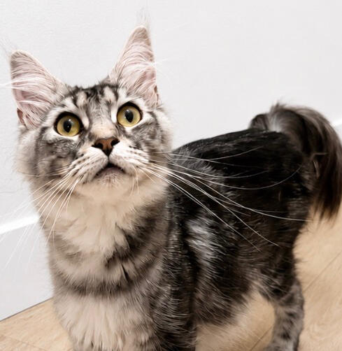 Eleanor